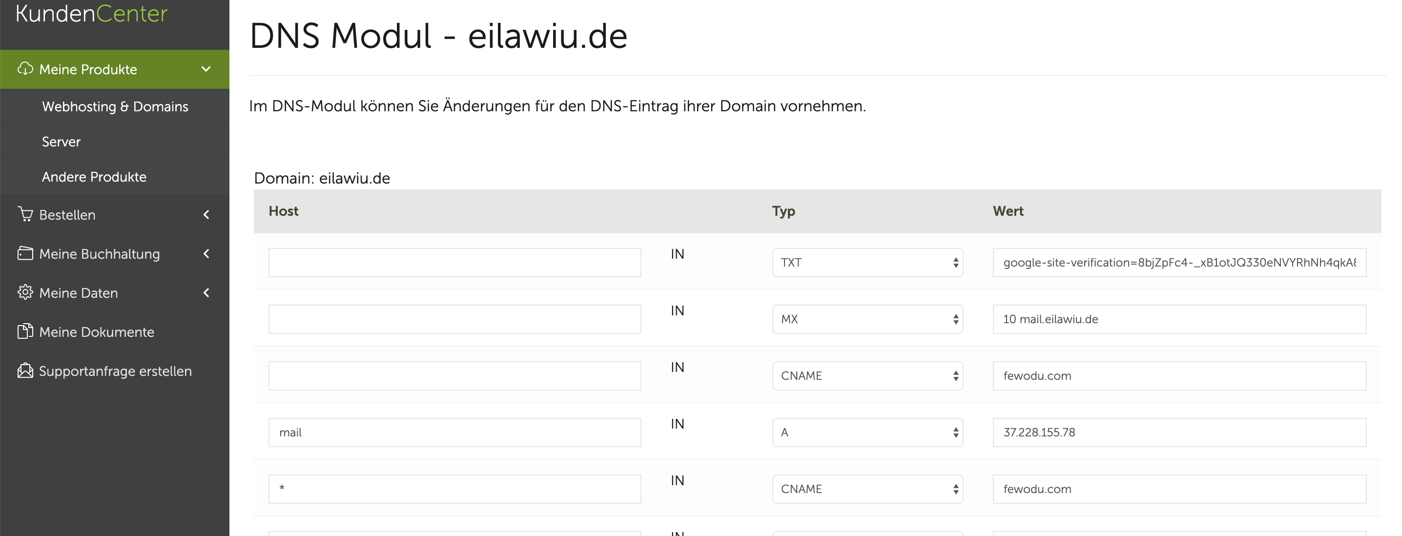 CNAME eintragen im DNS-Modul. Beispiel 